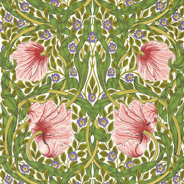 Pimpernel Wallpaper - 217333